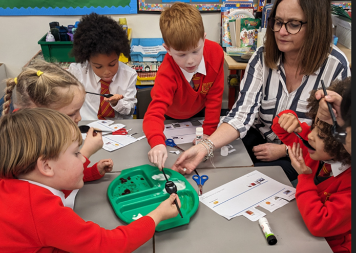 Year 1  investigated sweet and sour tastes and rated them on a scale.