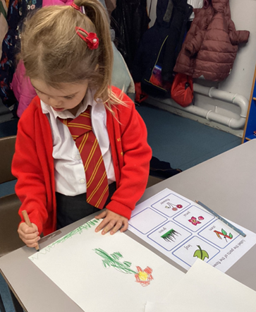 Reception child drawing plant picture